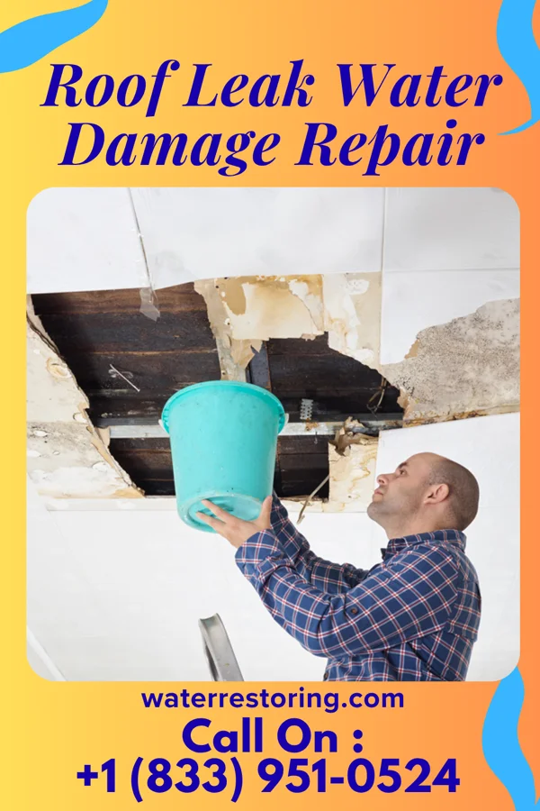 Roof Leak Water Damage Repair in Byers, TX